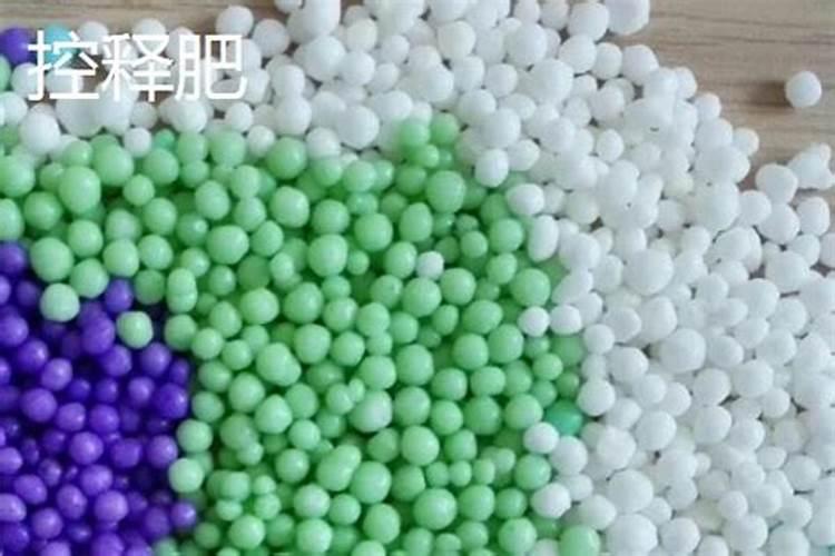 玉米挂果期还要施肥吗