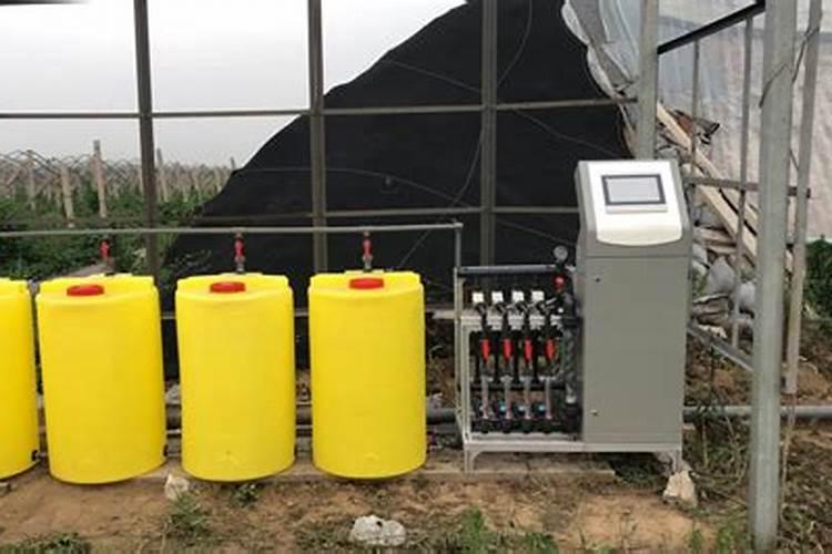 芒果花期管理方法与要点