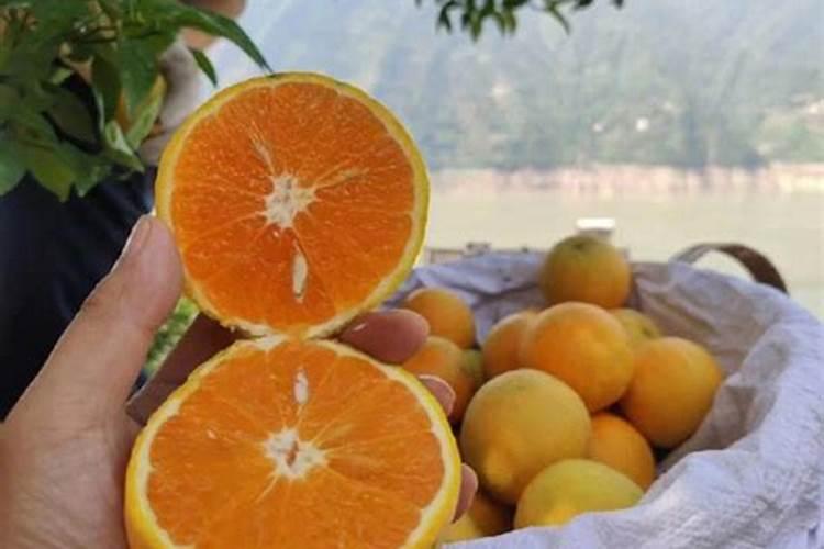 果皮怎么发酵做肥料