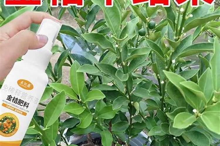 颗粒水溶肥如何选择？你真的知道吗？