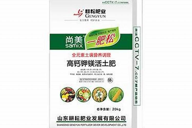 给香樟树施什么肥比较好？