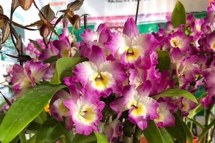 大连鸿源温泉和安波温泉是一个吗？