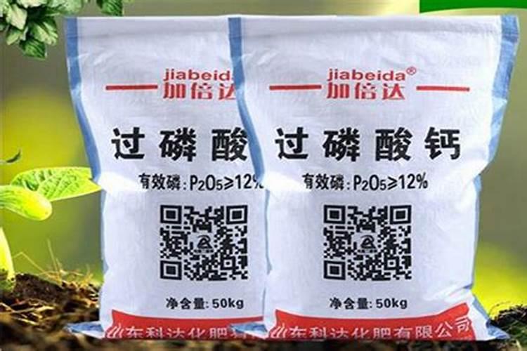 冬季君子兰怎样施肥,冬天开花季节要多施肥