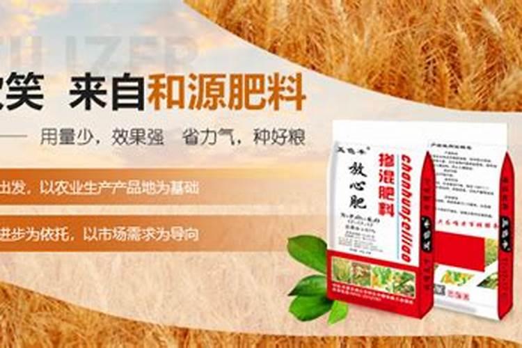 天脊16620硝酸钾水溶肥的批发价格是多少？