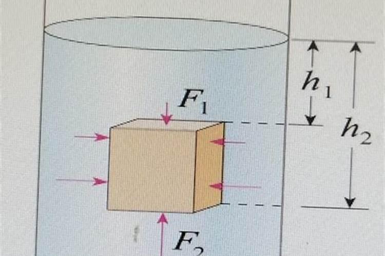 草本植物的茎不能像木本植物的茎那样逐年加粗是因为茎结构中没有...