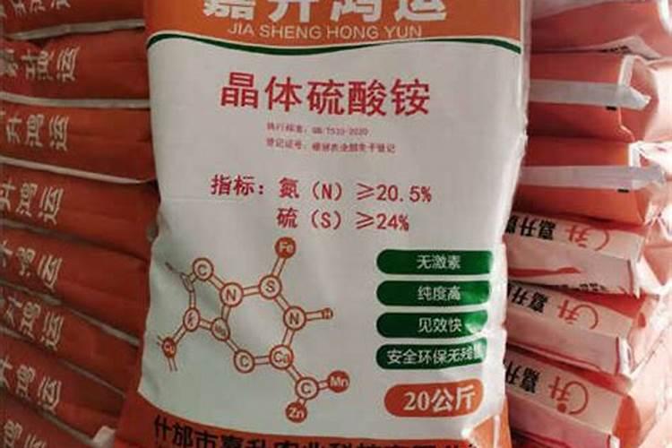 如何给兰花施肥