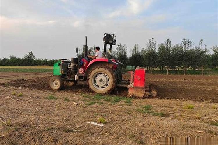 硼肥的使用方法与用量