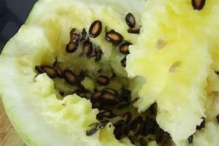 蔬菜怎样施用锌肥？