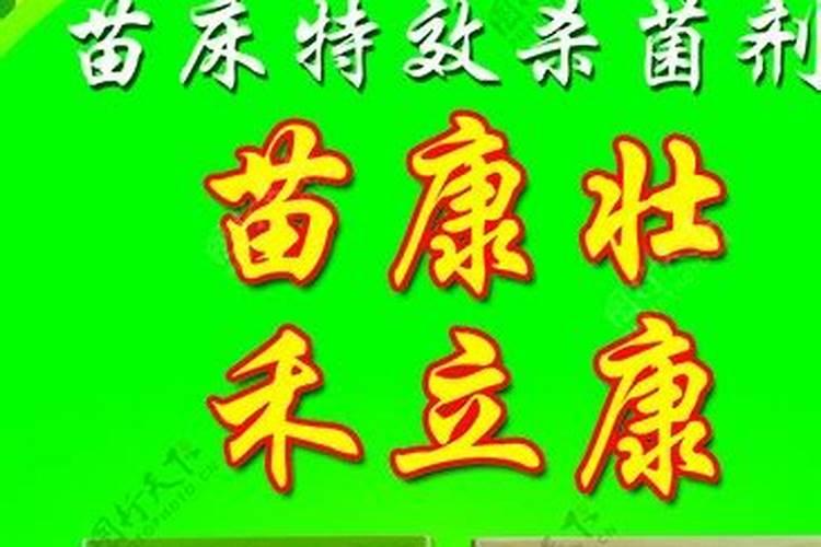 鹤岗军川农场是第几大农场