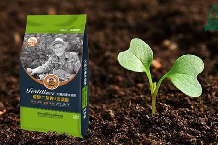 花椒树上什么肥料才能商高产