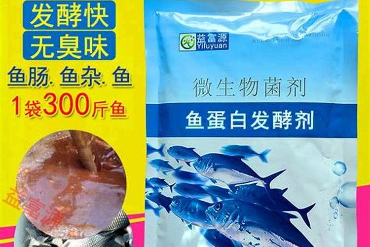 王的女人大结局