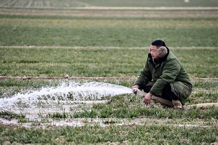 富硒叶面肥哪个厂家好