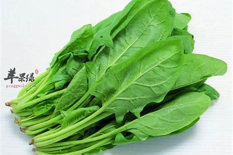 芸苔内酯适合打什么蔬菜