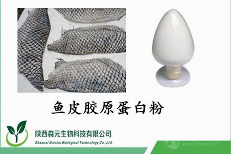 硅肥有哪些