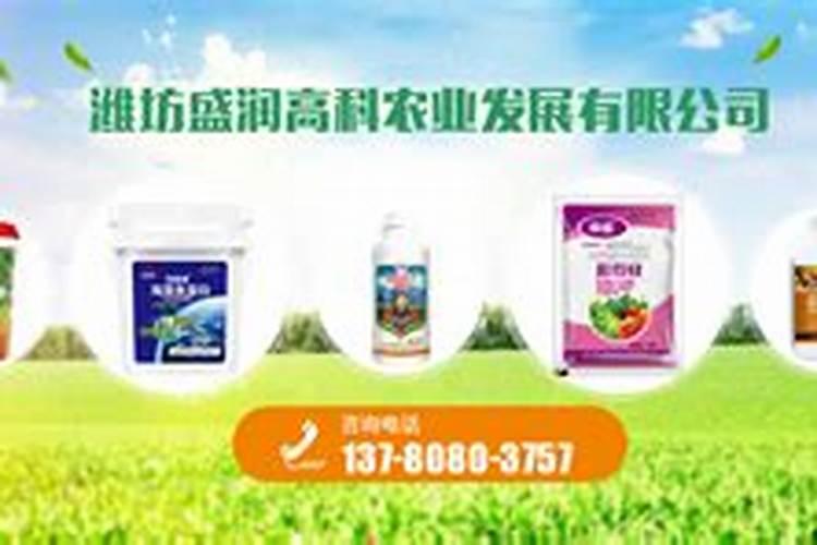 鹰嘴桃桃树穿孔病最佳治疗方法