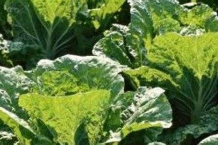 肿瘤治疗又添“利器”!我国首台自主研发加速器硼中子俘获治疗实验装置研 ...