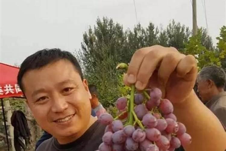 常用治疗细菌病害的药物有哪些