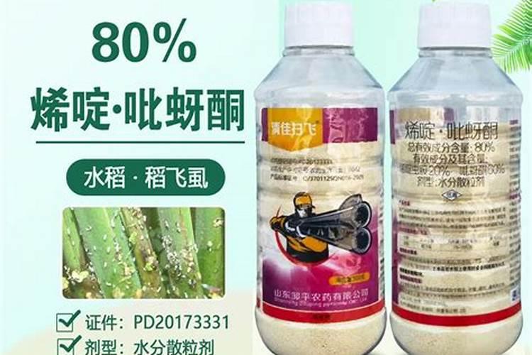 八角树炭疽病用什么农药最好？