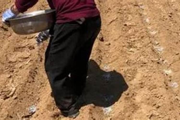 苏打绿成员的个人简介