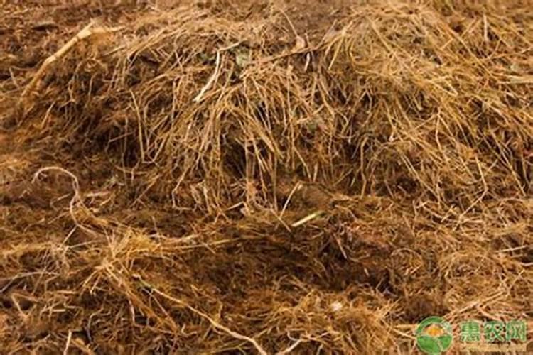 济南市平阴县东阿镇有收麦秸秆的吗多少钱一斤