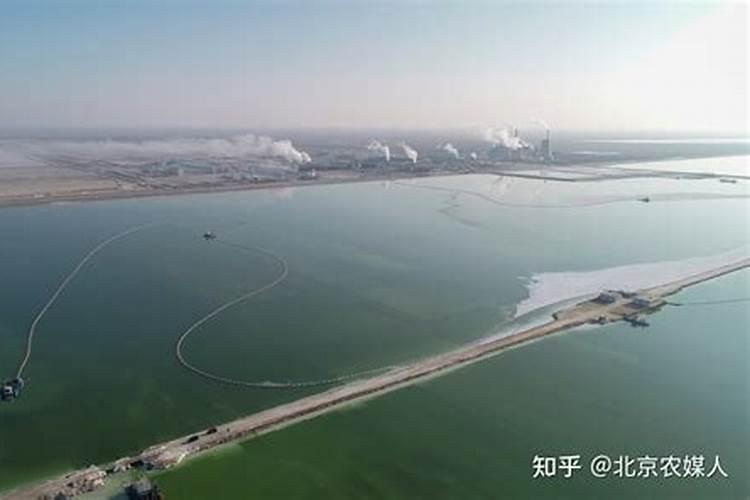 罗布泊的钾盐是谁发现的