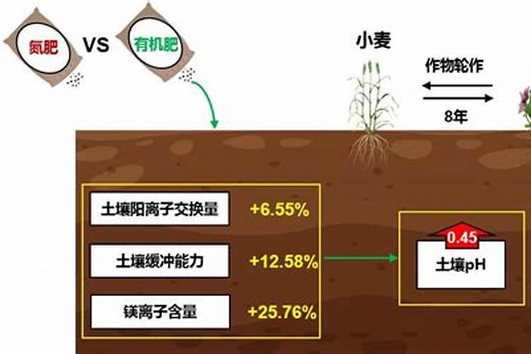 二十四节气中,每个节气农民都能种些什么农作物呢？