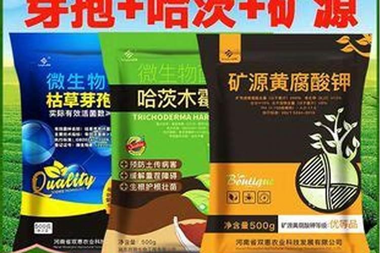 黄瓜缓苗水应该浇多少生根肥一亩地浇多少生根粉才合适？