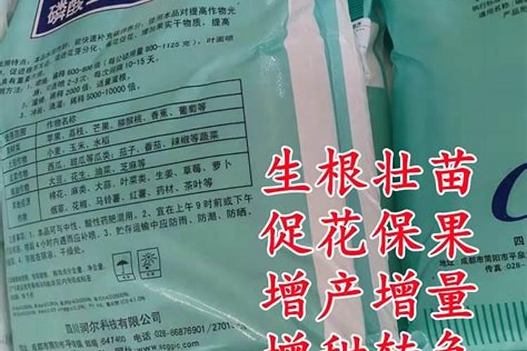 草莓喜欢水还是不喜欢水