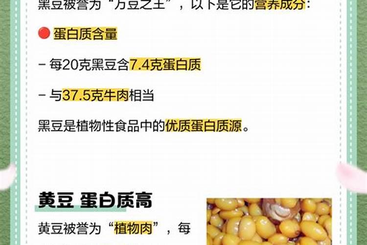 种马铃薯用什么肥料最好