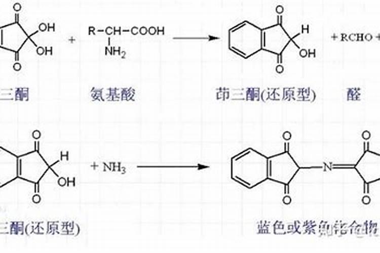 哪种叶面用的钙肥吸收好