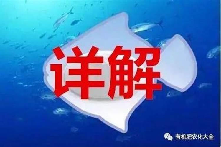 鱼类浓缩蛋白有点
