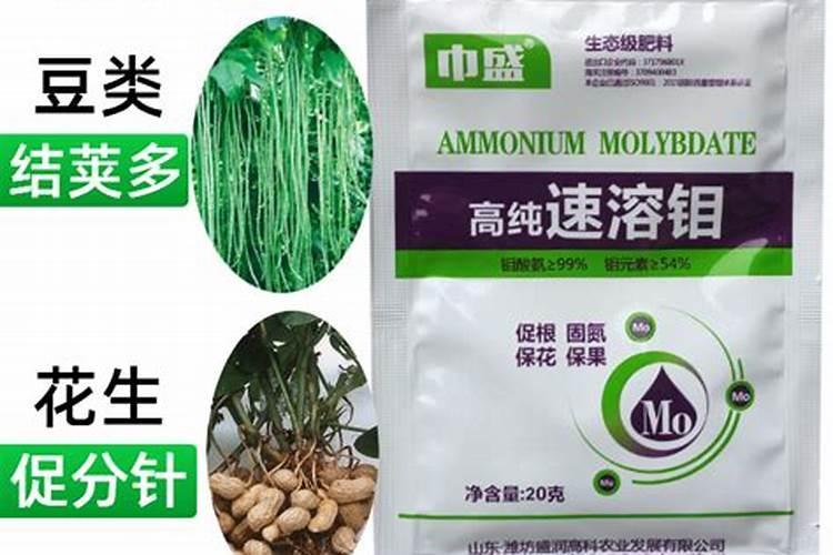 钼肥的作用及使用方法