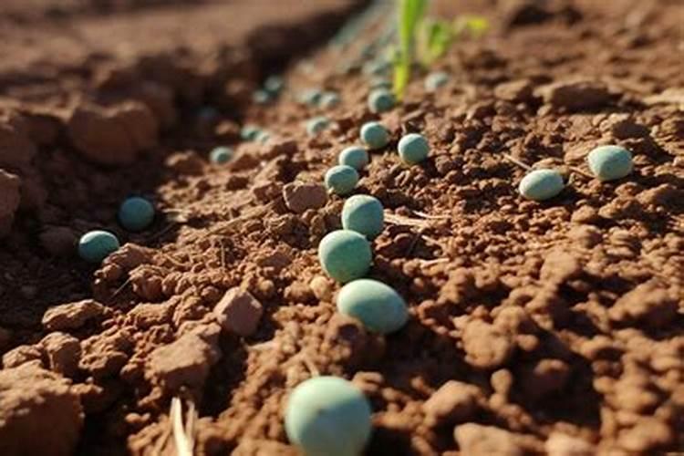 肥料的种类有哪三种