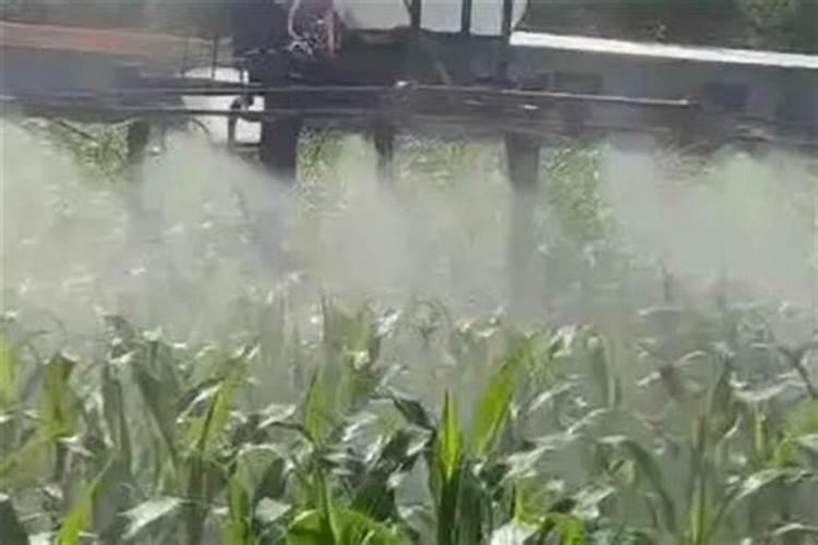 植物豆蛋水溶肥配方