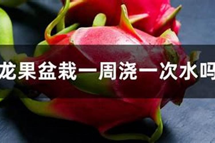 火龙果追肥用什么叶面肥好？叶面肥多少钱一包？叶面肥哪个品牌好？