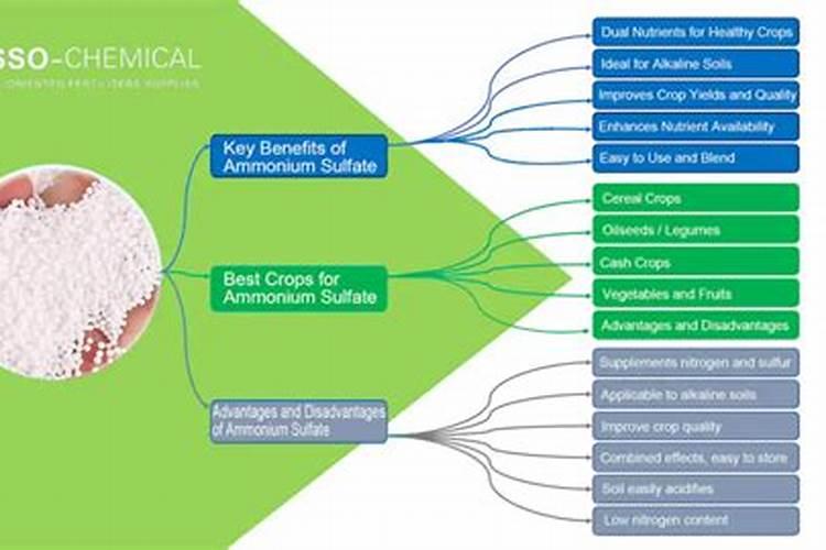 硫酸铵属于什么肥