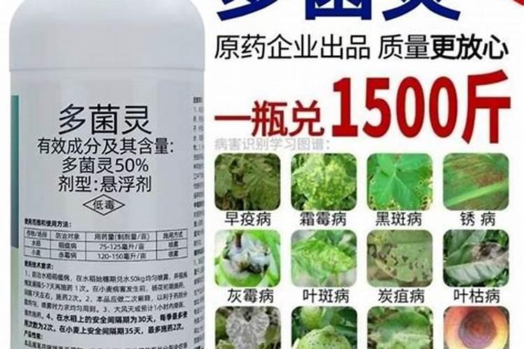 多菌灵能和叶面肥混用吗
