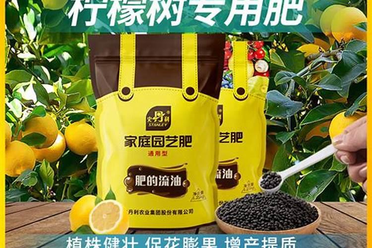 柠檬怎么施肥？