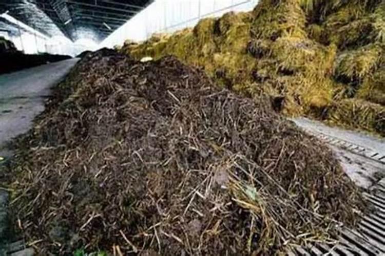 草莓追施水溶肥有效果吗？水溶肥多少钱一包？水溶肥的使用方法!