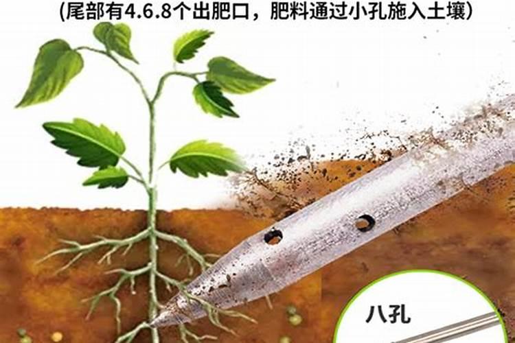 四川种水稻容易得稻瘟病的地方有哪些