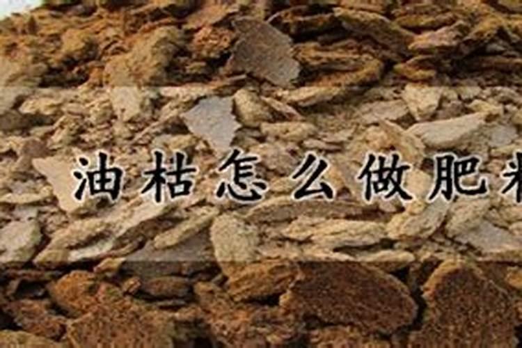 蓝莓施肥时间
