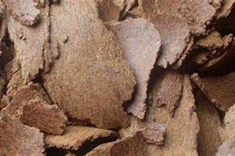 新安股份公司是做什么的