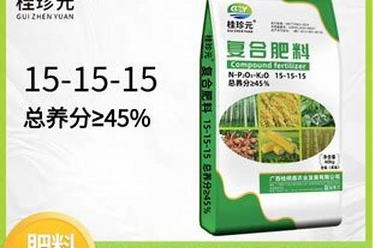 黑芸豆是什么豆子做的 黑芸豆是什么样子的