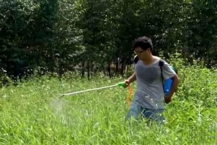 金正大系列产品介绍