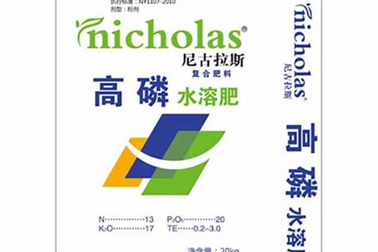 黑松盆景的养护方法