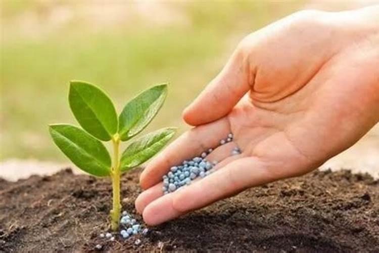 中国最好的硅肥生产企业有哪些？推荐几家,我想代理硅肥