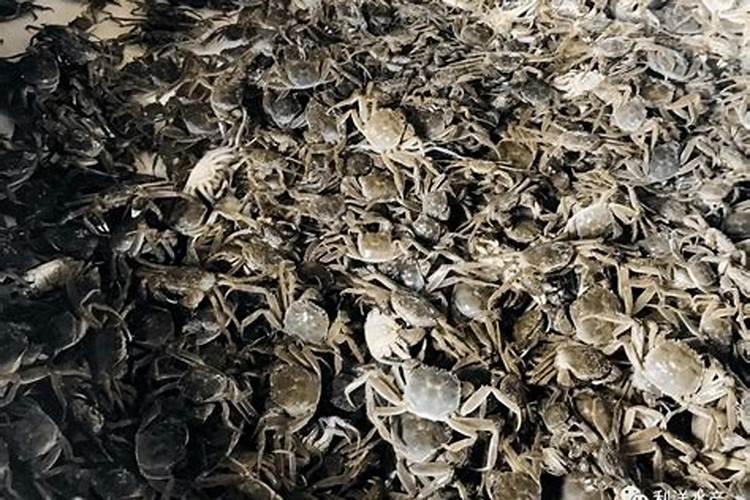 济南卖除草剂最厉害三个地方