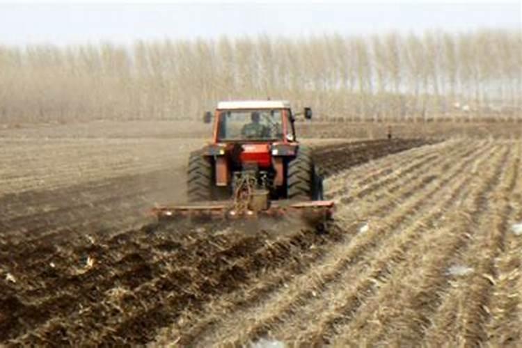 深耕后需要及时的对土壤施肥