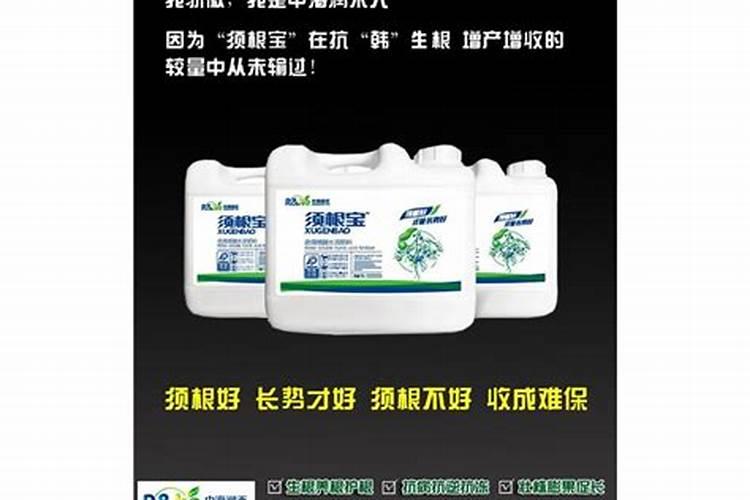 橘子树用什么肥好 施肥方法有哪些