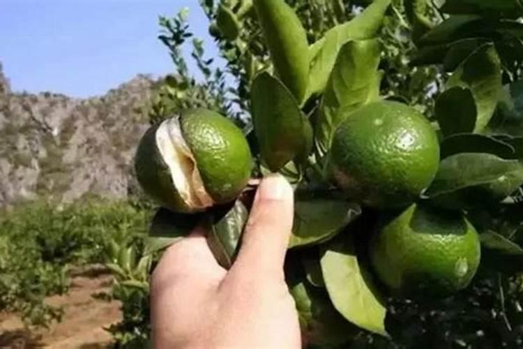 甘肃水泵生产厂家